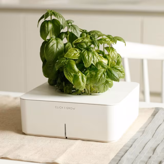 Click & Grow Electronic Smartpot Plants_2