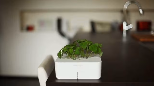 Click & Grow Electronic Smartpot Plants_3