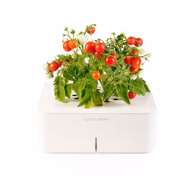 Click & Grow Electronic Smartpot Plants_5