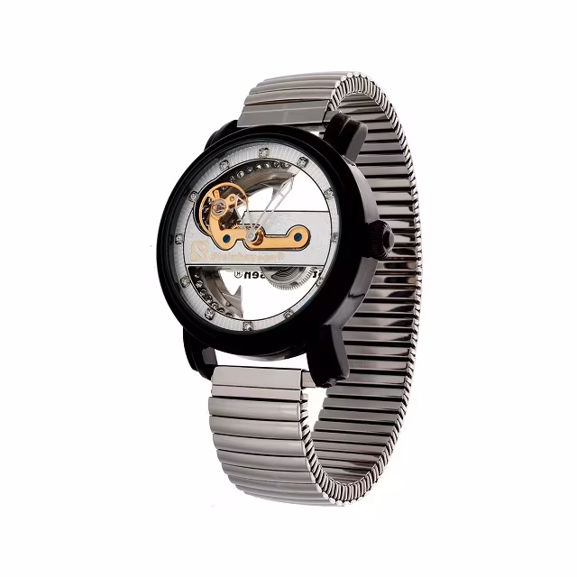 Steinhausen Pont De Pure Full Automatic Watch_1