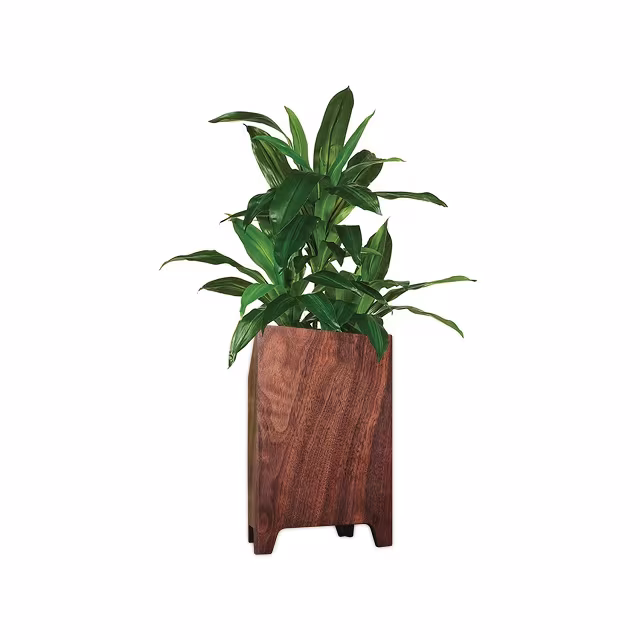 Fitzgerald Planter by Tronk