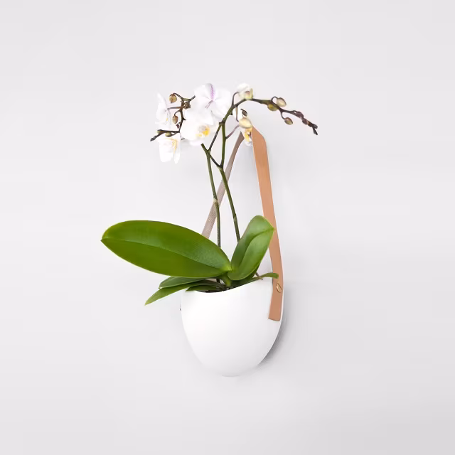 Farrah Sit Porcelain and Leather Planter