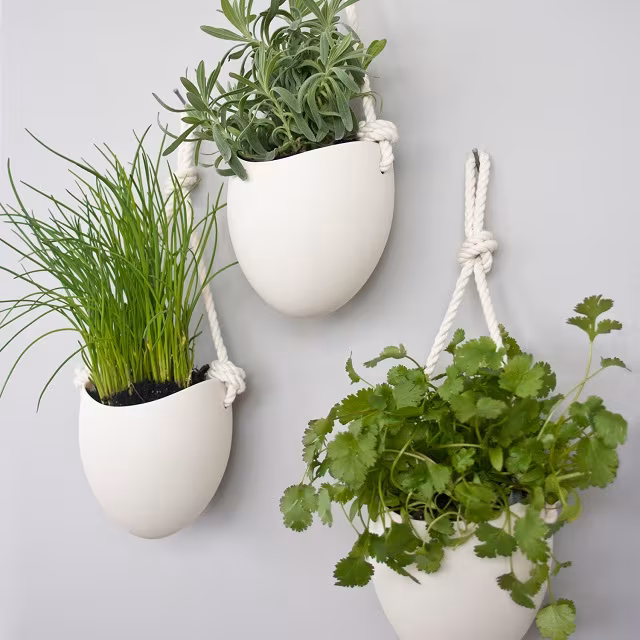 Farrah Sit Porcelain and Rope Planter Set of 3