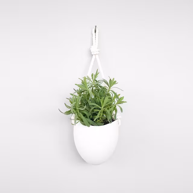 Farrah Sit Porcelain and Rope Planter