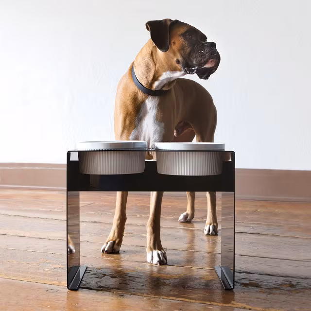 Elevated Pet Feeder by John Beck Steel_3