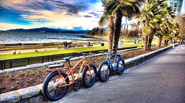 Surface 604 Element Wide Grip Electric Fat Bike_4