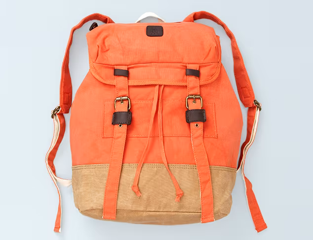 It's in the Bag The Backpack at MYHABIT