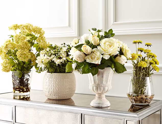 Indoor Garden: Planters, Botanicals & Décor at MYHABIT