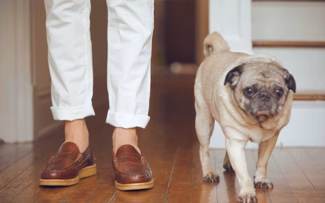 Men's Summer Shoes Lookbook from Need Supply Co.