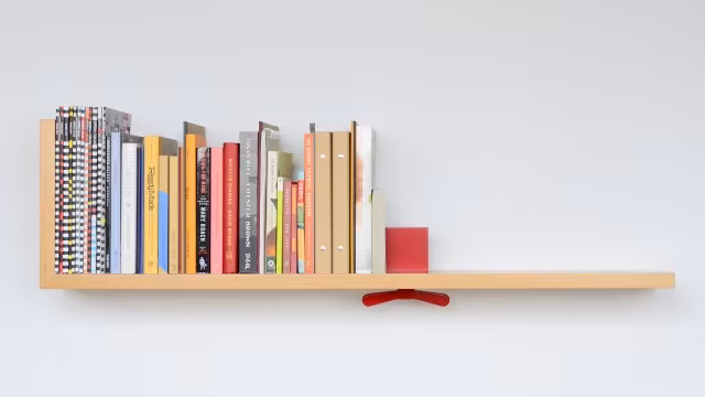 Hold on Tight Bookshelf by Colleen Whiteley_3