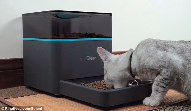 Pintofeed Intelligent Pet Feeder_3