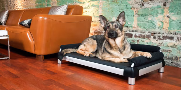 DoggySnooze Doggy Home Decor