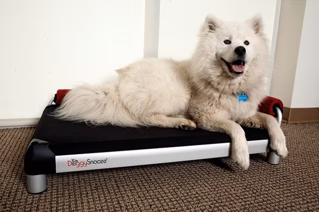 DoggySnooze snoozeLounge_1
