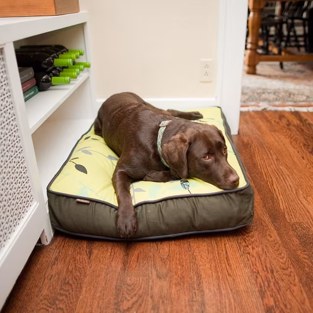P.L.A.Y. Pet Lifestyle and You Greenery Rectangular Bed Green