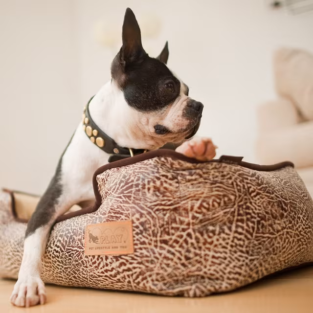 P.L.A.Y. Pet Lifestyle and You Lounge Bed Savannah + Grey