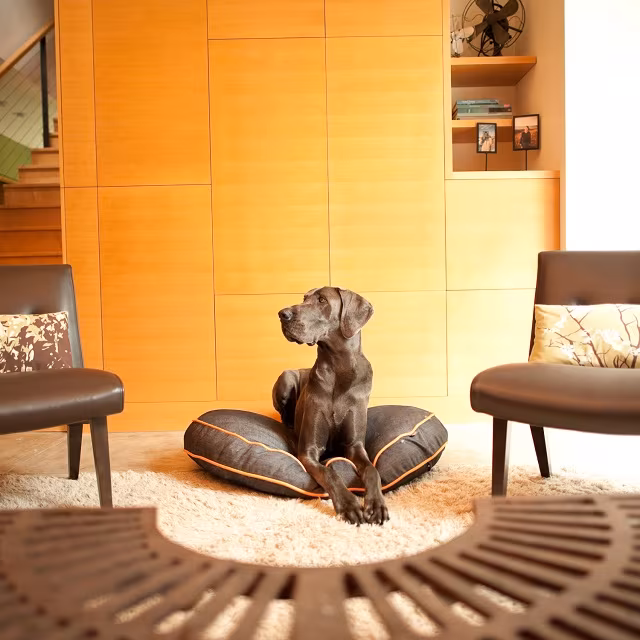 P.L.A.Y. Pet Lifestyle and You Round Bed Denim + Orange