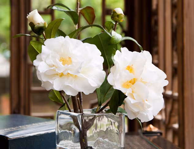 Preserved Greenery & Faux Florals at MYHABIT