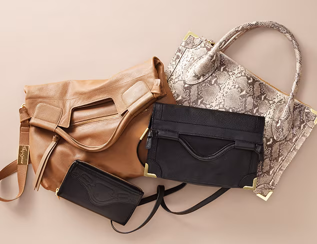 Foley + Corinna Handbags at MYHABIT