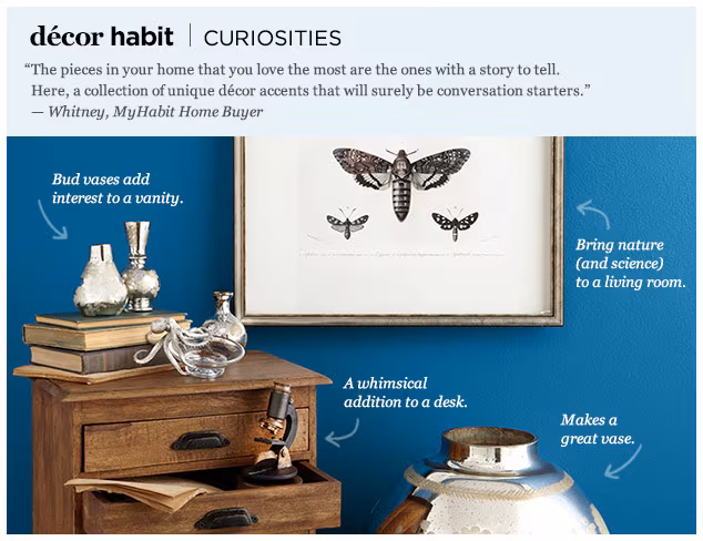 Décor Habit: Curiosities at MYHABIT