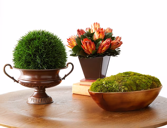 70% Off: Faux Florals at MYHABIT