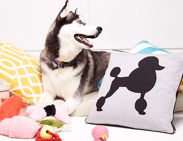 Gifts for the Animal Lover at MYHABIT