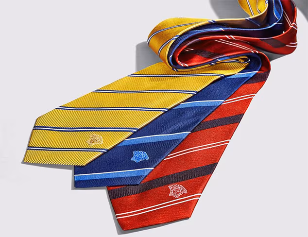 Designer Ties  & Pocket Squares feat. Versace at MYHABIT