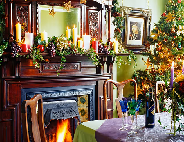 Holiday Habit Festive Jewel Tones at MYHABIT