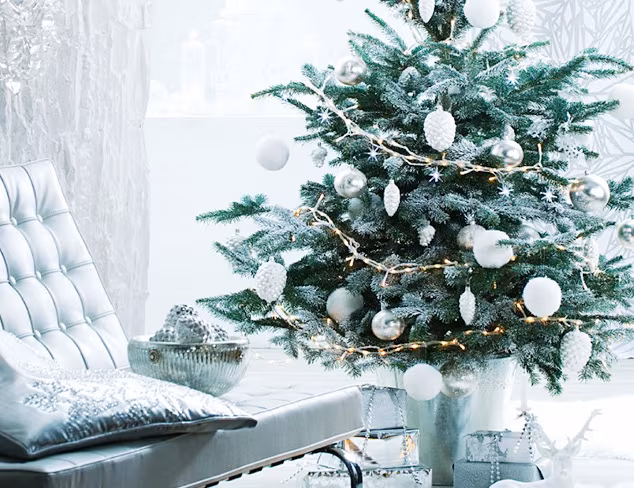 Holiday Habit Sparkle & Shine at MYHABIT