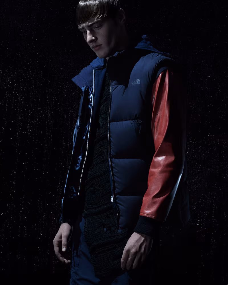 The North Face Down Puffer Vest