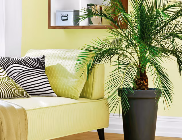Think Spring Laura Ashley Faux Greenery at MYHABIT